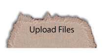 Upload Files